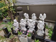 和楽ウォーキング