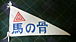 ʿ/P-MODELϡ̴