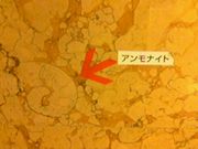 �͸ųؤߤä�����������