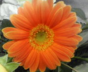 ���縩������������ع�