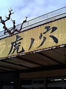 ���� ���� �顼��� �ץη�