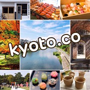 kyoto.co - きょうとっこ-