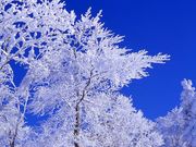 ���ӤǼ�ɹ������!!