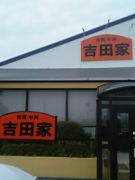 ���Ĳ�  -FOREVER-