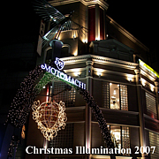 Christmas Illumination 2007
