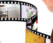 今日のイッポン