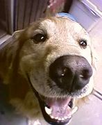 ������ʥ�����ǥ�(^_^;