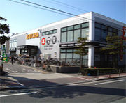 TSUTAYA ��Ƿ��Ź
