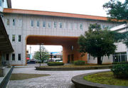 2003ǯ´