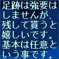 ܤǤ