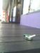 ʿ٤in