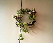 ���ꥹ����