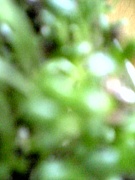 笑ってポジティブ