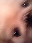 �̎ߎ��ގ�(^��^)�܎̎ߎ܎̎�