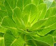 �ե�������롡���ե���