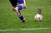 Enjoy Sports���������es[����]