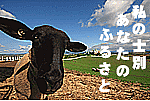 ���̤����(1988��1989)