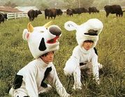 ﾌﾘｯﾊﾟｰｽﾞﾅｲﾄ★福岡