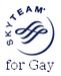 SkyTeam for Gay