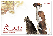 函館DogCafe＆Run　“ 犬Cafe ”
