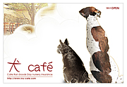 ȡDogCafeRun Cafe 