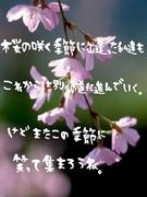 椭ȡ304