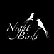 bar Night Birds