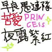 �찦����PRINCESS