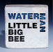 Little Big Bee
