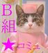 �椦�ʤ��⹻��ǯB�ȡ���