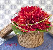 ���֥���󥸤Υե��ȥ���