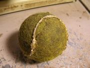 ���ƥ˥������ޤ�������