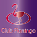 Club Flamingo GION-京都最大級-