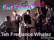 Freelance Whales