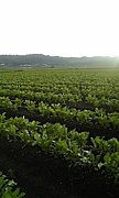 �٥��ե륳�ߥ�˥ƥ���������
