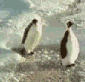 ���ʤ��ä�̴����