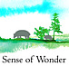 Sense of  Wonder 2011