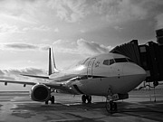 ���ơ�Nagoya��