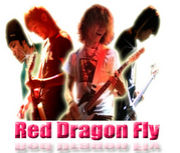 RED DRAGON FLY
