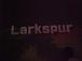 Larkspur