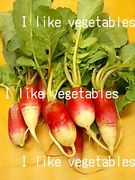 野菜好き