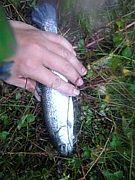 釣りが大好きなWWカヤッカー