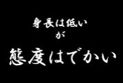 身長は低いが態度はでかい