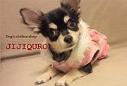 小型犬の服専門店「JIJIQURO」