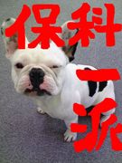 ңţΣݲʰ