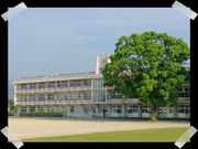 Ļ���⹻����ǯ´Ʊ���