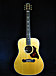 Gibson  CL���꡼��