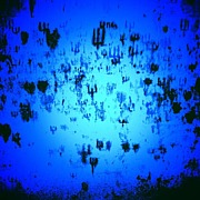 現代画家 ブライアン　パイク