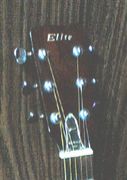 EliteTakamine)פʿ