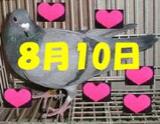 ��������ǯ����������ޤ�